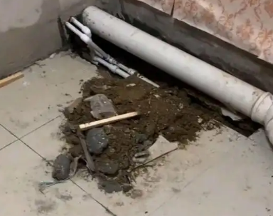 成华卫生间漏水检测哪家好
