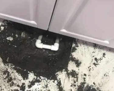 成华查漏水哪家好